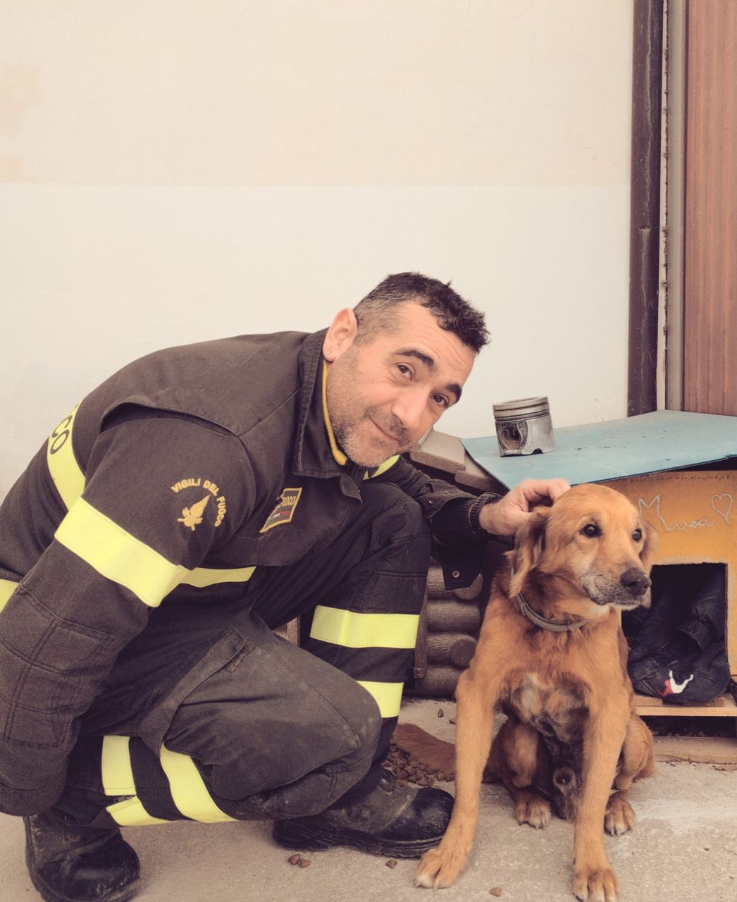 Teramo - Tre cani salvati dai vigili del fuoco